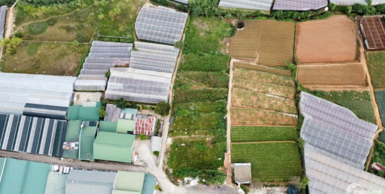 Bán đất Mặt Tiền Trịnh Hoài Đức, Phường 11, Đà Lạt. Sổ hồng riêng thổ cư