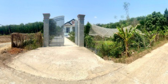 TRẢ NƠ NGÂN HÀNG BÁN LỖ 250TRIEU LÔ NÀY