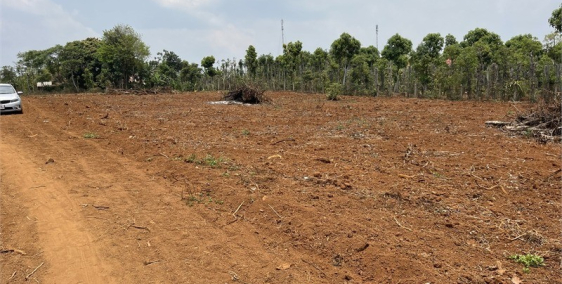 Ra Gấp Lô Đất Nền Thổ Cư Nằm Ngay ĐắkLắk Chỉ Hơn 300 Triệu Chút Xíu