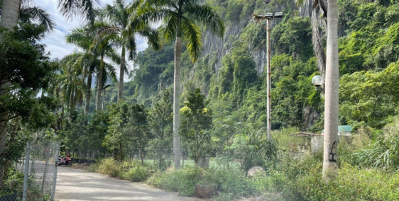 Chính chủ bán ô đất phân lô vuông vắn mặt đường 18 Quang Hanh