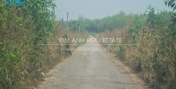 Bán đất làm nhà vườn tại Châu Thành - Tây Ninh