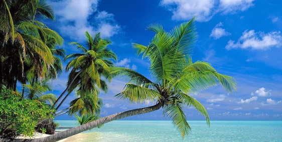 Bán đất mặt đường tại hoà an xuân cảnh sông cầu Phú yên