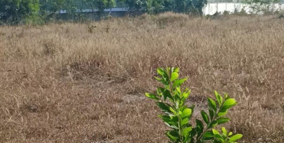 bán đất giá ngộp, dân cư đông đúc, thổ cư sẵn 100m, nằm giữa 2 kcn lớn