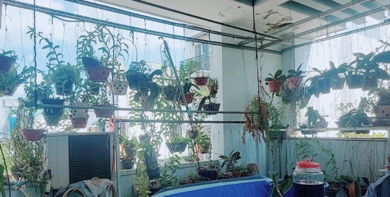 (Gò Vấp)bán gấp nhà hxh vị trí KD ngay mặt tiền Nguyễn Thái Sơn 70m2 3tầng 7tỷ.