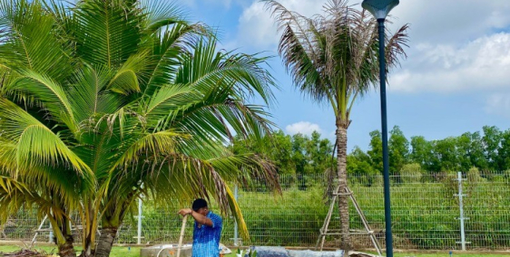 Đất Mt vành đai 4 Đức Hoà giá chỉ 1T6 đối diện KCN