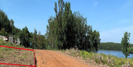 Đất view hồ Sông Bé 260tr/1000m2 chính chủ mới tách