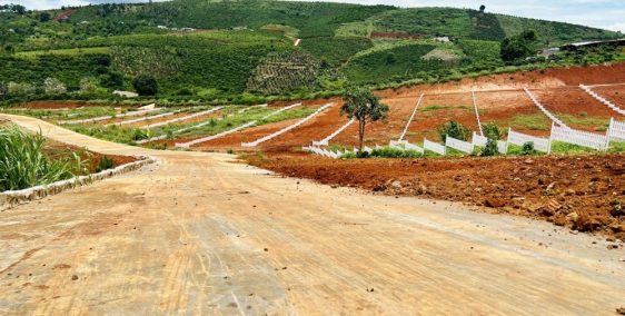 Cần bán gấp lô đất diện tích 1090m2 tại xã Nam Hà đầu tư chỉ 1,7tr/m2