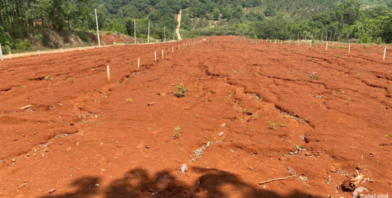 Chính chủ bán gấp lô đất thổ cư 225m2- rẽ hơn thị trường 10% - Sổ Sẳn - bu đăng