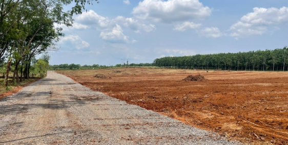 Bán đất ngay mặt tiền QL 20 xã Túc Trưng, Định Quán, Đồng Nai giá 1,6 triệu/m2