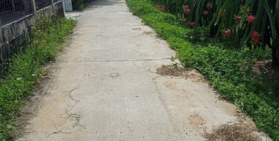 600m2 có 300m2 nhà cấp 4- Hàm Mỹ- đường bê tông ô tô