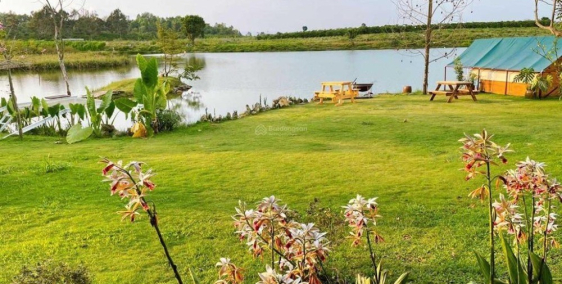 Chính chủ bán gấp đất view hồ 330tr/240m sỗ sẵn công chứng ngay