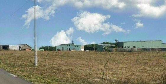 CẦN TIỀN TRẢ NỢ BÁN RẺ [1.125M2 - GIÁ 300TR/SHR] GẦN KCN BECAMEX, SÁT Q.LỘ CHỢ