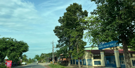 Bán Đất Chà Là - Dương Minh Châu, Full Thổ, 10x50, Đã Tách Sẵn 2 Sổ, CHỉ 1 Tỷ