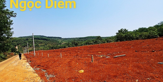 Bán gấp lô đất kèm thổ 225m2 Gía 430tr- Bù Đăng - Bình Phước - Sổ Sẳn