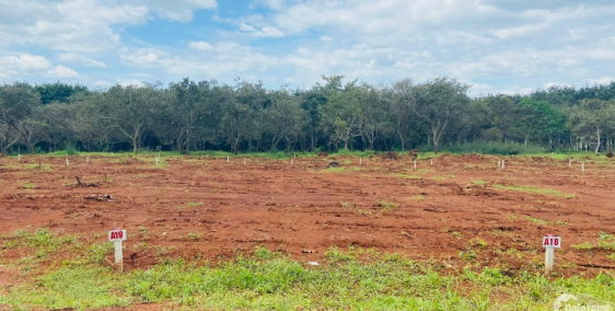 Đất thổ cư, sổ sẵn, 450tr/250m2