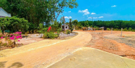 Hàng ngộp công chứng trong tháng chỉ 280 triệu / 250m2