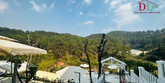Bán khu đất view thông Hoàng Hoa Thám Đà Lạt diện tích lớn có thổ cư giá rẻ 9tr