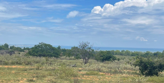 Chú ruột kẹt tiền bán đất ven biển giá chạm đáy