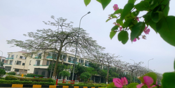 Bán nhà trục chính 56m, diện tích 120m2 khu đô thị VSIP kih doanh tốt, sổ đỏ