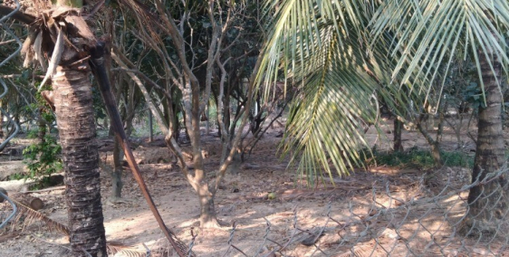 bán đất vườn 358m2 xã quới sơn huyện châu thành tỉnh bến tre