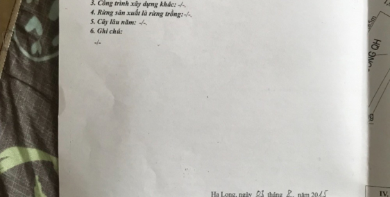  BÁN ĐẤT TẶNG NHÀ CẤP 4 ĐANG CHO THUÊ