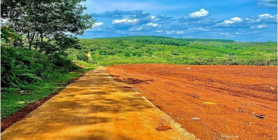 chính chủ bán gấp lô đất View Đà Lạt 225m2 tại Bù Đăng - Bình Phước - Sổ Sẳn