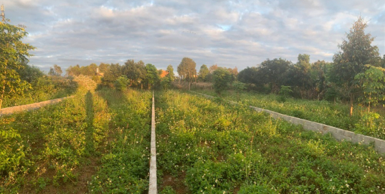 Cần BÁN GẤP lô đất 5mx38m (Thổ cư toàn bộ), chính chủ hẻm 63 Hà Huy Tập, phường