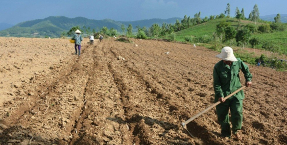 Xem là ưng ngay 3330m2 đất vườn - sổ hồng riêng giá rẻ bèo - Châu Thành, Tây