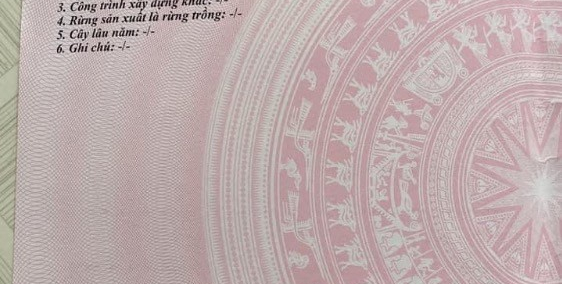 Đất full thổ cư, Ql22b, Cẩm giang, Gò Dầu, Tây  Ninh, SHR, 286.9m2, 595tr