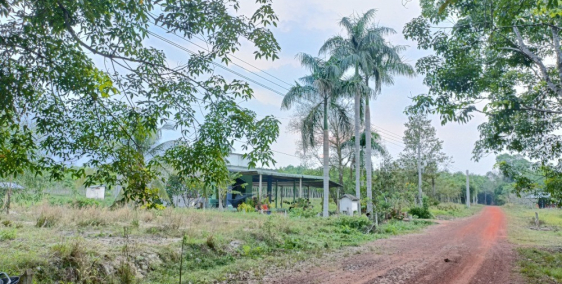 200tr sở hữu ngay lô đất Dầu Tiếng xã An Lập | DT 5x47 có 100m2 thổ cư