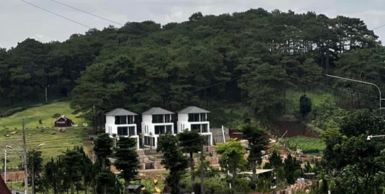 Bán đất và biệt thự Kiwuki Bảo Lộc – View đồi thông và hồ - Nội thất cao cấp