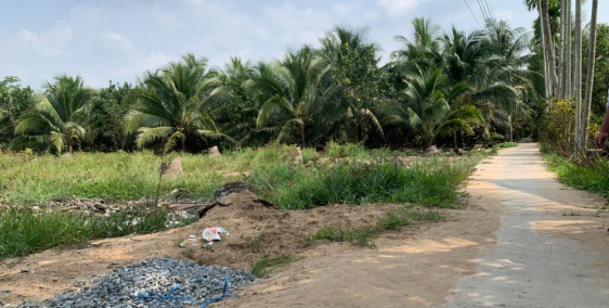 Chính chủ cần nền đất 2 mặt tiền 134m2 có 50m2 thổ cư Long Hoà, Bình Đại,Bến Tre