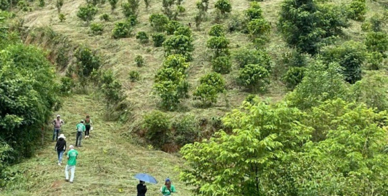 Bán gấp miếng đất xào View suối đẹp giá chưa tơis 550tr- Sổ sẳn- Bao sang tên -