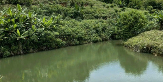 Đất xào View suối - Mặt tièn 12m giá chưa tới 550tr/xào- tại ĐakNong