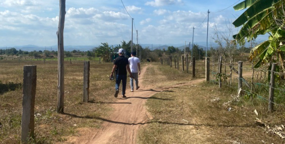 TT 203tr còn lại góp 18th lãi suất 0% có 2726m2 đất vườn hồng liêm LH 0938677909