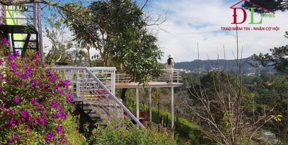 Bán đất hơn 1000m2 tặng Homestay Ba Tháng Tư view sát rừng thông cực đỉnh