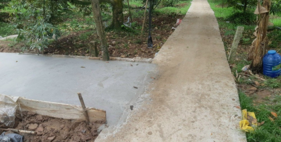 Bán gấp 6679 m2 đất sầu riêng đang cho trái, ấp Long Quới, x. Ngũ Hiệp, Cai Lậy