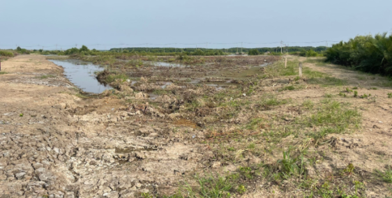 Cần bán đất nuôi trồng thuỷ sản tại xã Lý Nhơn