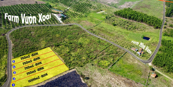 Mở bán 5 lô sổ hồng công chứng ở Ninh Xuân chỉ 268tr 1 lô