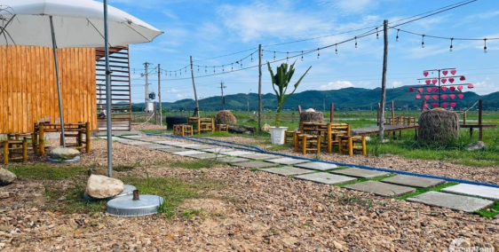 Bán Gấp Đất Phú Hòa, 7x30 Full thổ cư, ngay khu dân cư, Đường 12m chỉ 4,5tr/m2