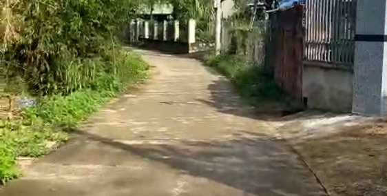 Cảnh an 1 phước thành tuy phước