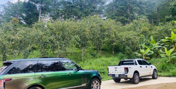 Bán 6800m2 ( Có 1600m2 XD) giáp rừng thông ngay chân đèo Prenn rất đẹp