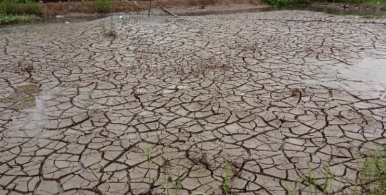 Đất phường Tân Xuyên TP Cà Mau