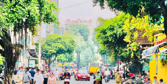 Bán nhanh siêu phẩm MT Cô Giang, 8.5x20 3L giá 49.5 tỷ