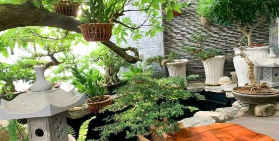 Cho Thuê Biệt Thự Mini 2 Mặt Tiền Đình Phong Phú, Tăng Nhơn Phú B