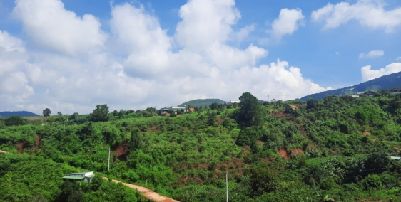 Đất Đà Lạt giá tốt sổ hồng riêng sang tên công chứng ngay