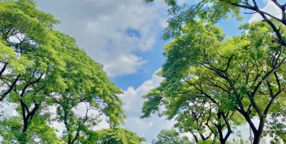 Bán lô đất 160m2 mặt tiền đường D3 KDC Phong Phú 4, Bình Chánh - LH: 0933862860