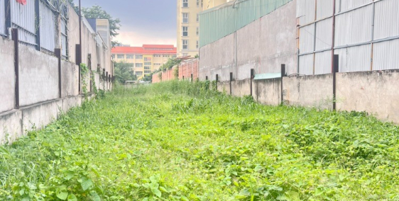 Cho thuê đất mặt tiền 7x55m đường Nguyễn Thị Thập P. Bình Thuận Quận 7