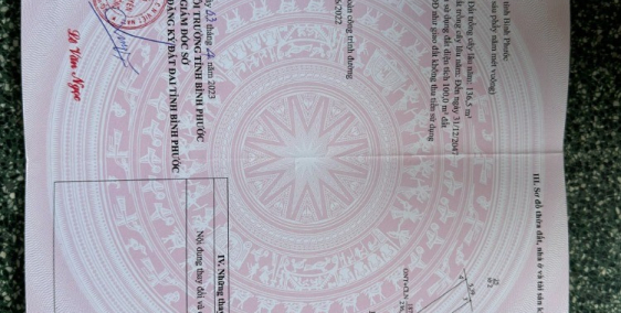 Chính chủ bán đất thổ cư mặt đường nhựa tại Phú riềng Bình Phước