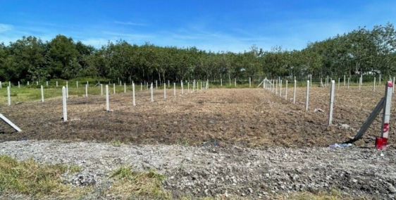 Chỉ 1 lô giá rẻ duy nhất còn sót lại 506m2 giá 1,05 tỷ